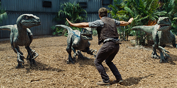 Raptor wisper