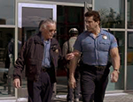 Lee in Hulk
