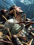 Giant bugs