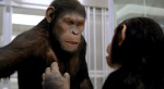Apes-Rise Photo